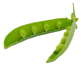 Green Peas Pods PNG