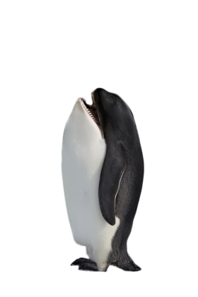 Hybrid Penguin Killer Whale PNG