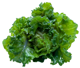 Kale PNG