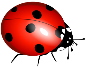 Ladybug PNG