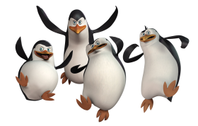 Madagascar Penguins PNG