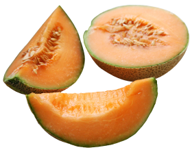 Melon Sliced PNG