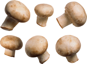 Mushroom PNG
