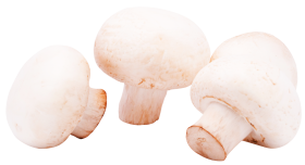 Mushrooms PNG