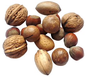 Nut PNG