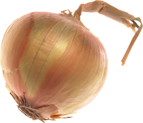 Onion PNG