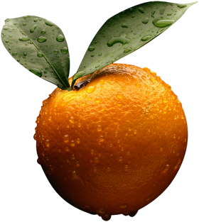 Orange | Orange PNG