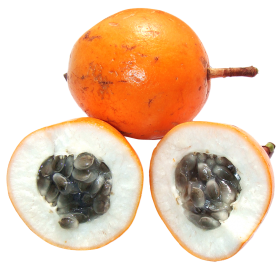 Passion Fruit PNG
