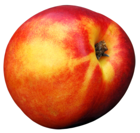 Peach Fruit PNG