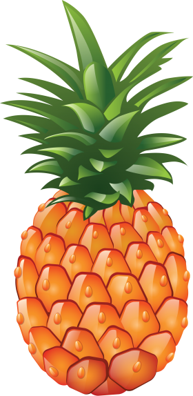 Pinapple Clipart PNG