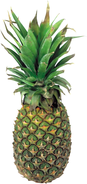 Pinapple Slices PNG