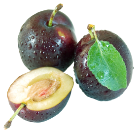 Plum With Leaf PNG