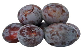 Plums PNG