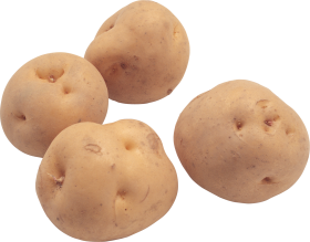 Potato PNG