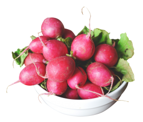 Radish in a Bowl PNG