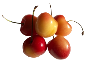 Rainier Cherries PNG