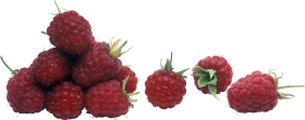 Raspberry PNG