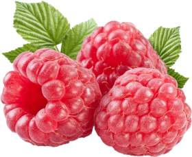 Raspberry PNG