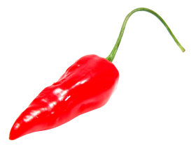 Red Chili Pepper PNG