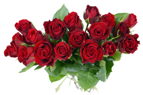 Rose Bouquet PNG