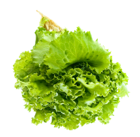 Salad Leaf PNG