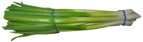 Scallion Green Onion PNG