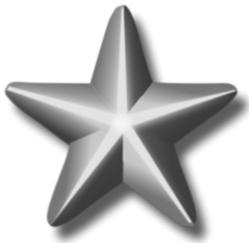 Service Silver Star PNG