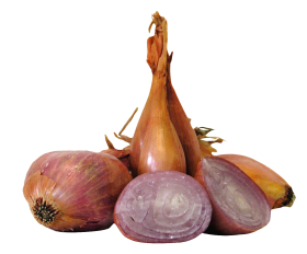 Shallot Onions PNG