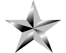 Silver Star PNG