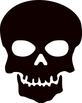 Skeleton, Skull PNG