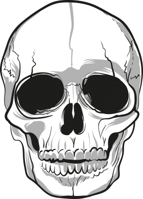 Skulls PNG