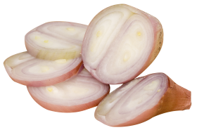 Shallot PNG Transparent Images Free Download, Vector Files