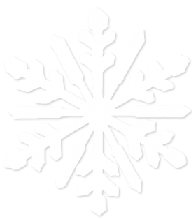 Winter Snowflake Snowy  PNG