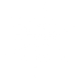 Frosty Snowflake PNG