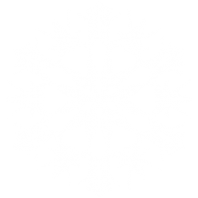 White Frozen Snowflake PNG