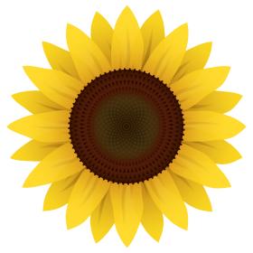 Sunflower Vector PNG