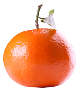 Tangerines PNG