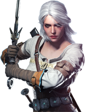 The Witcher  PNG