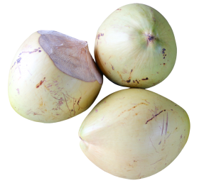 Top View of Coconut PNG