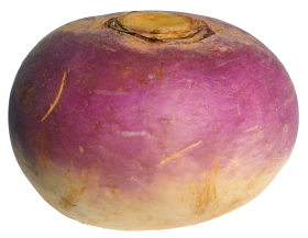 Turnip PNG