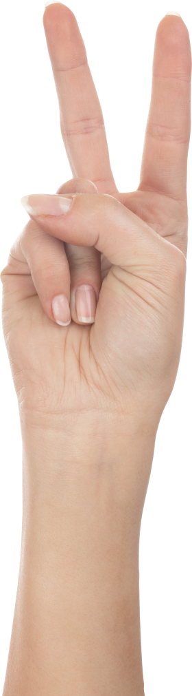 Two Finger Hand PNG