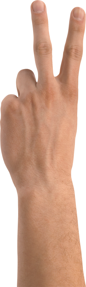 Two Finger Hand PNG