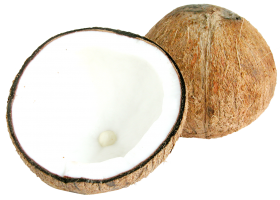 Two Half Coconuts PNG