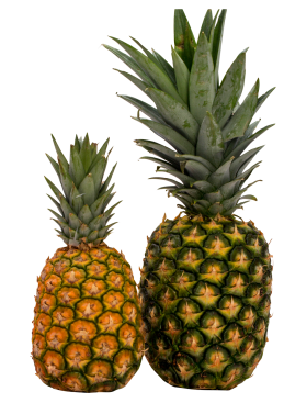 Two Pineapple PNG
