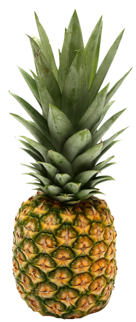 Two Pineapple PNG