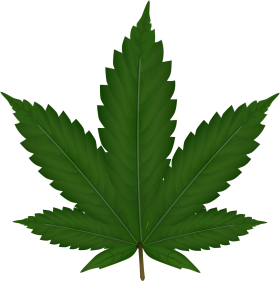 Weed Plant PNG