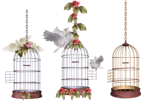 White Bird Cage PNG