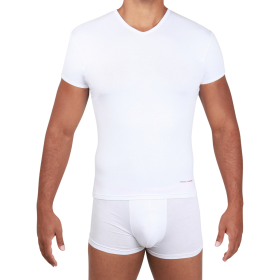 White T-Shirt PNG