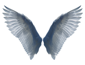 White Wings PNG