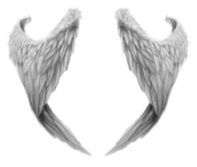 White Wings PNG